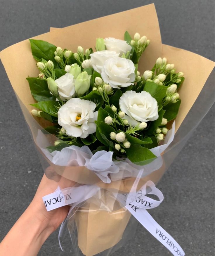 Hoa lan trắng thanh lịch